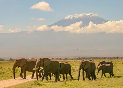 Le Mont Kilimandjaro de Tanzanie